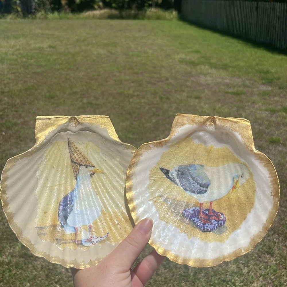 Set of Decorative Seashells  with Seagull Design